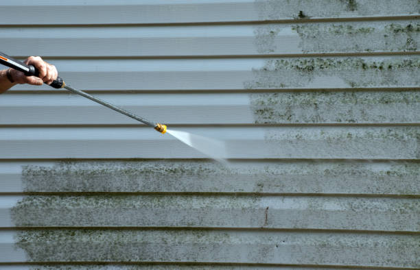 Best Roof Power Washing Services  in Effingham, IL
